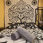 Amigos Nest بيت شباب *