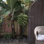بيت شباب Amigos Nest La Mareta