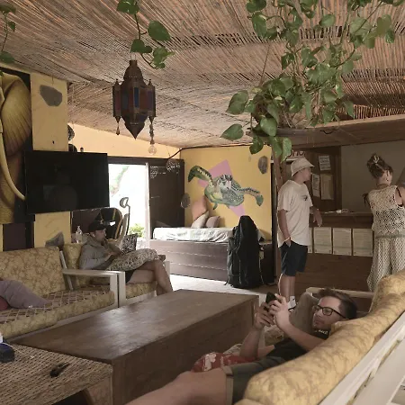 Хостел Amigos Nest Ла-Марета
