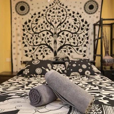 Amigos Nest 호스텔 *