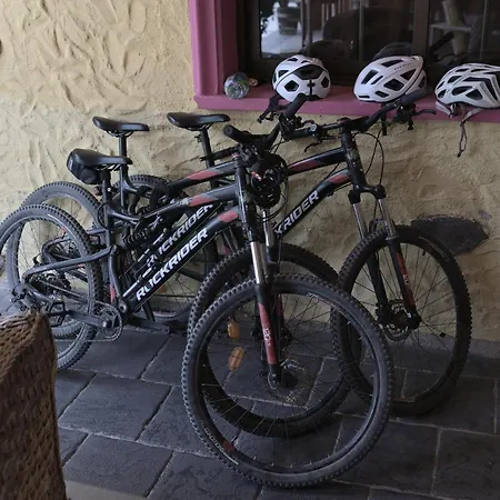 호스텔 Amigos Nest *