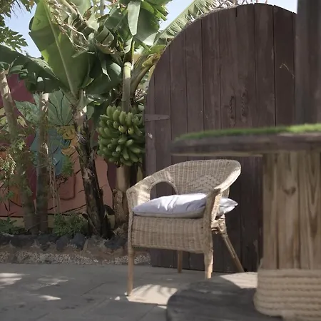 호스텔 Amigos Nest