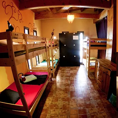 Ostello Amigos Nest