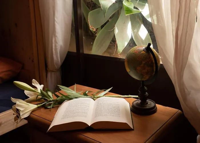 Auberge de jeunesse Amigos Nest *