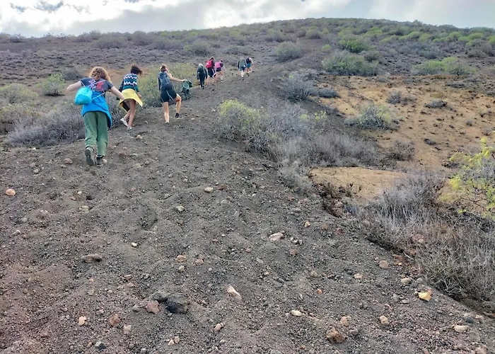 Auberge de jeunesse Amigos Nest *