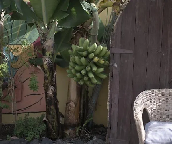 Hostel Amigos Nest La Mareta