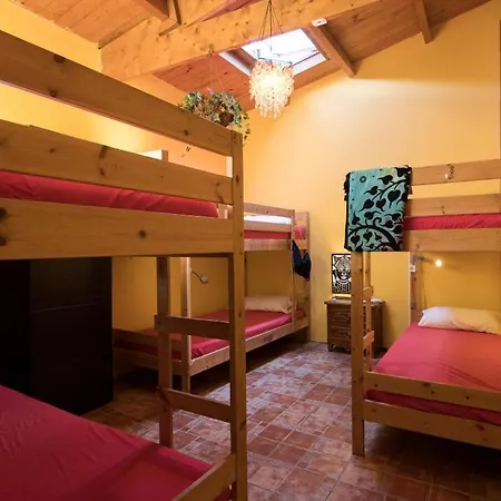 Amigos Nest *