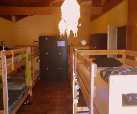 Amigos Nest بيت شباب *