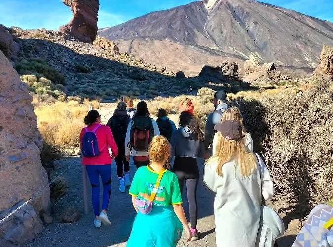 Ostello Amigos Nest *