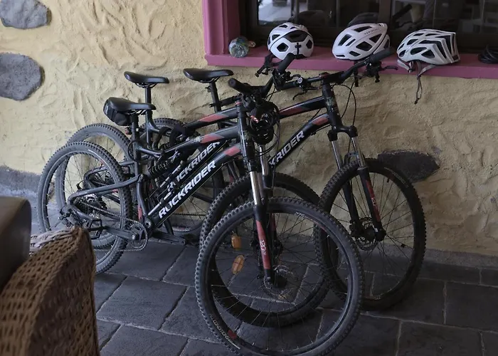 Ostello Amigos Nest *