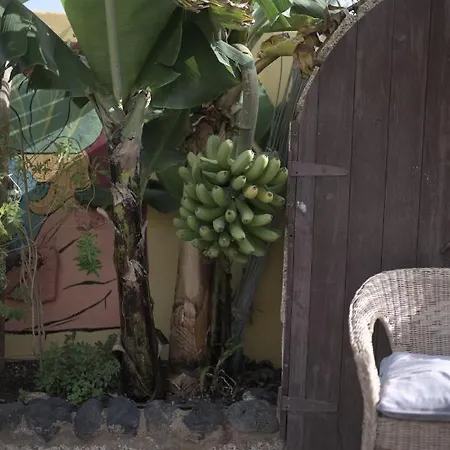 Vandrarhem Amigos Nest La Mareta