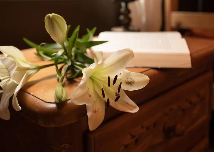 Amigos Nest La Mareta