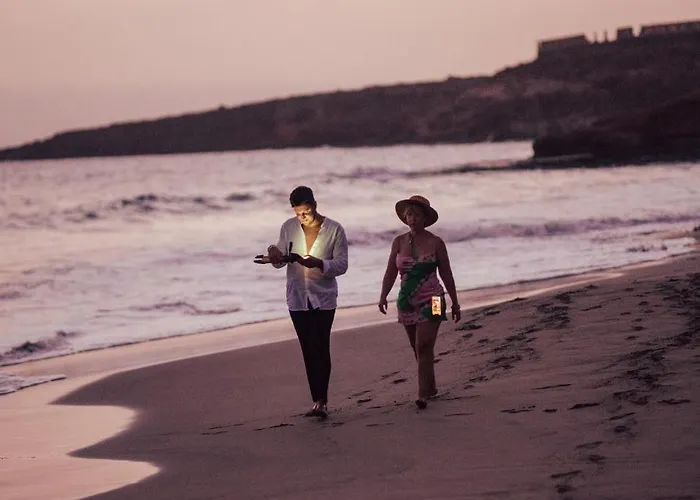 Amigos Nest * La Mareta