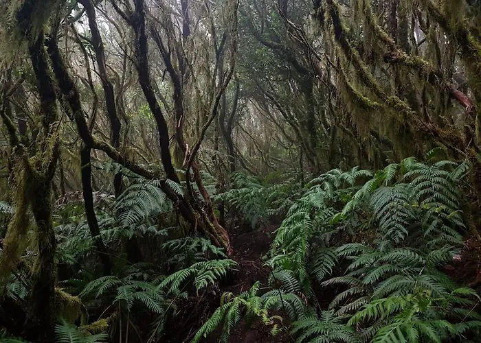 Amigos Nest La Mareta