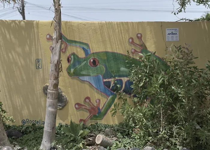 Amigos Nest La Mareta