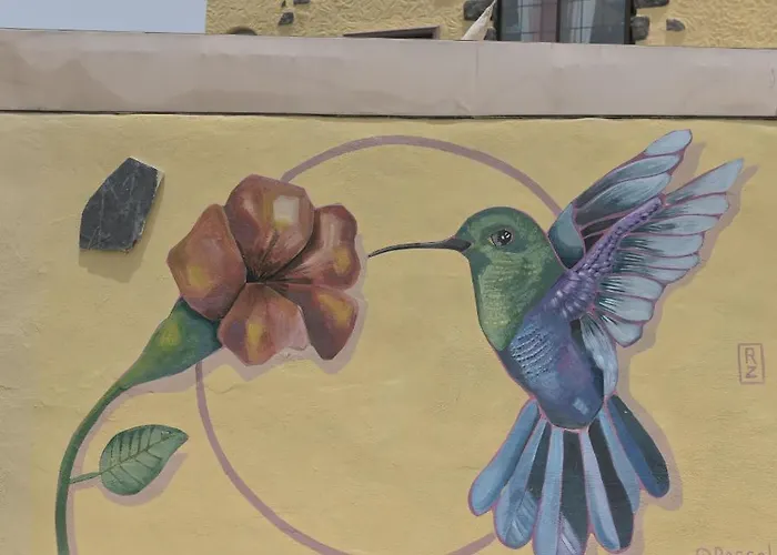 Amigos Nest La Mareta